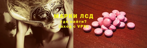 прущие грибы Богданович