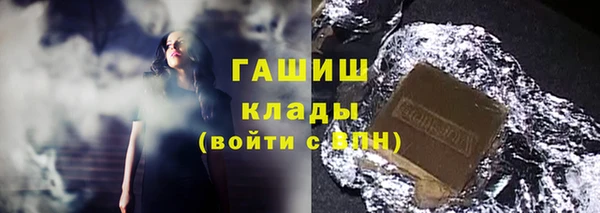 прущие грибы Богданович