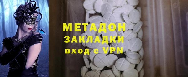 прущие грибы Богданович