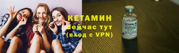 прущие грибы Богданович