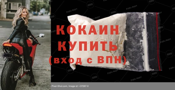прущие грибы Богданович