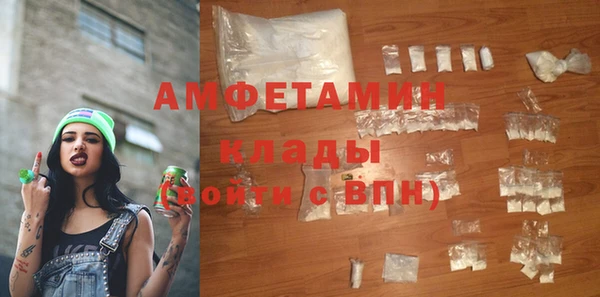 прущие грибы Богданович