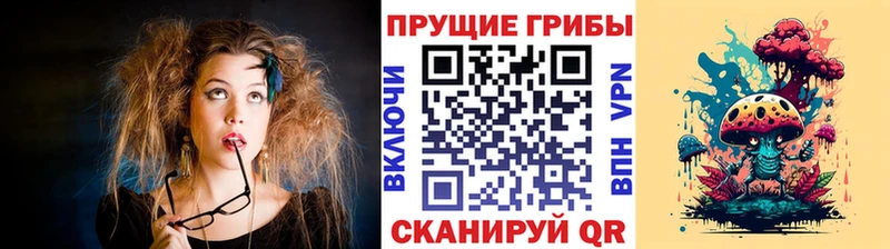 Псилоцибиновые грибы Psilocybe  Михайлов 